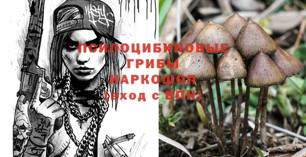 ешки Новокубанск