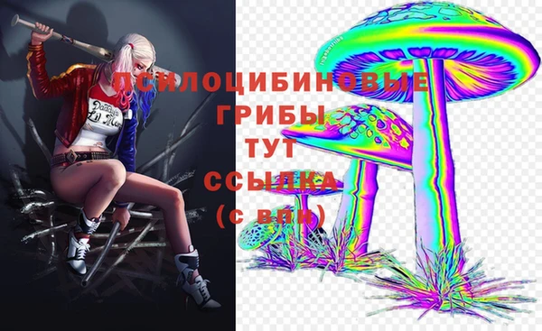 экстази Новозыбков