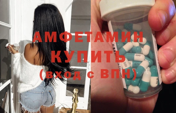 стаф Нея
