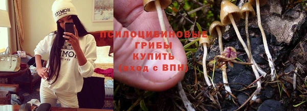 трава Нефтекумск
