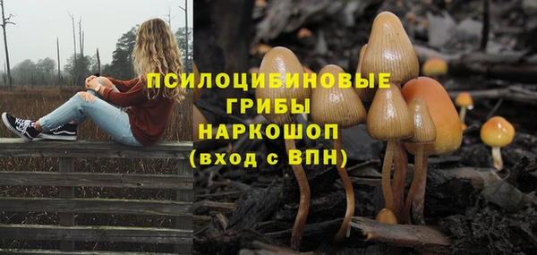 экстази Новозыбков