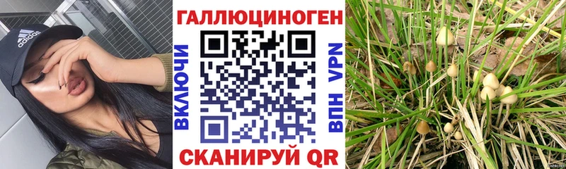 OMG ССЫЛКА  Кремёнки  Псилоцибиновые грибы прущие грибы 